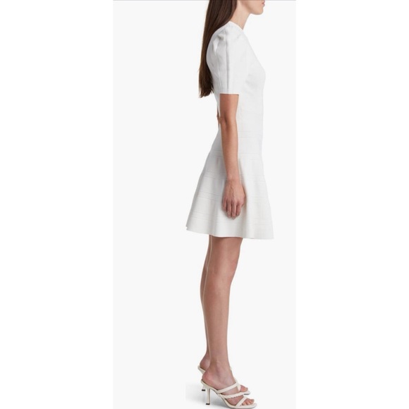 NWT-Ted Baker London Velvey Puff Sleeve Dress - Picture 3 of 5